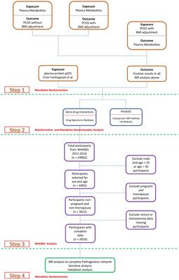 Retinol intake and PCOS management: a plasma metabolite and protein analysis via Mendelian randomization and NHANES 2011–2016